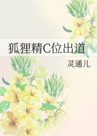 黑龙江宠物餐具