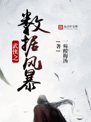 武侠之数据风暴一碗酸梅汤