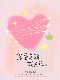 笨蛋的冒险