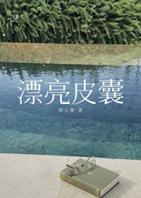 漂亮皮囊剧透