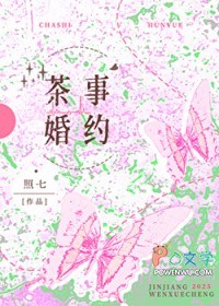 茶事系列