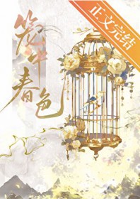 笼中讲的什么