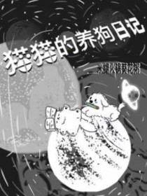 猫猫的养护小技巧